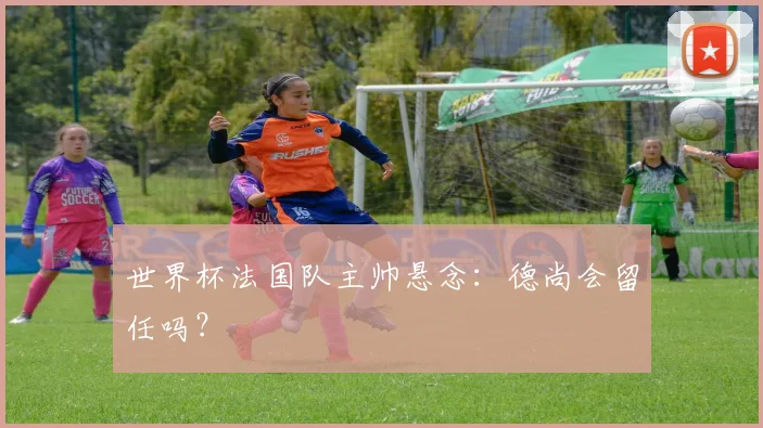 世界杯法国队主帅悬念：德尚会留任吗？